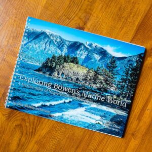 A wide format paper book with oceanscape photo.