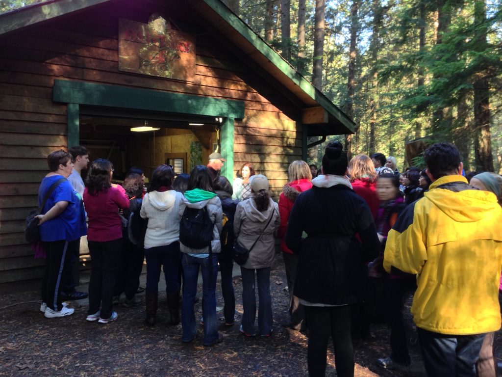 Collingwood Neighbourhood House–morning hike; learning about the Fish Hatchery