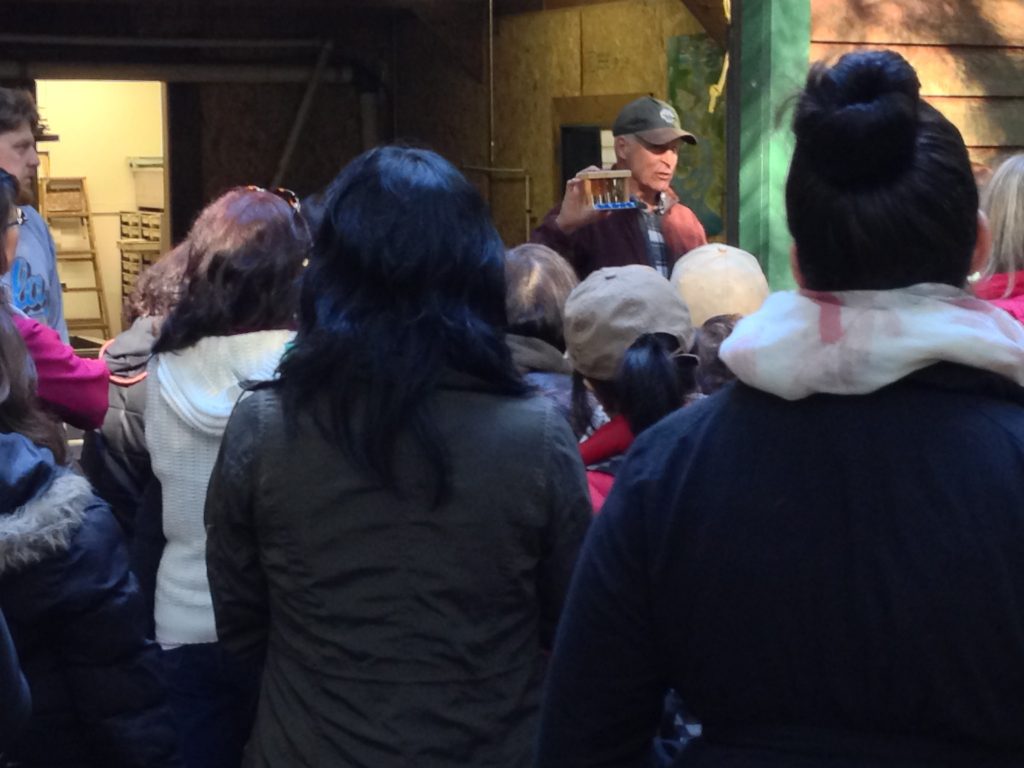 Collingwood Neighbourhood House–morning hike; Tim Pardee explains what the Hatchery does