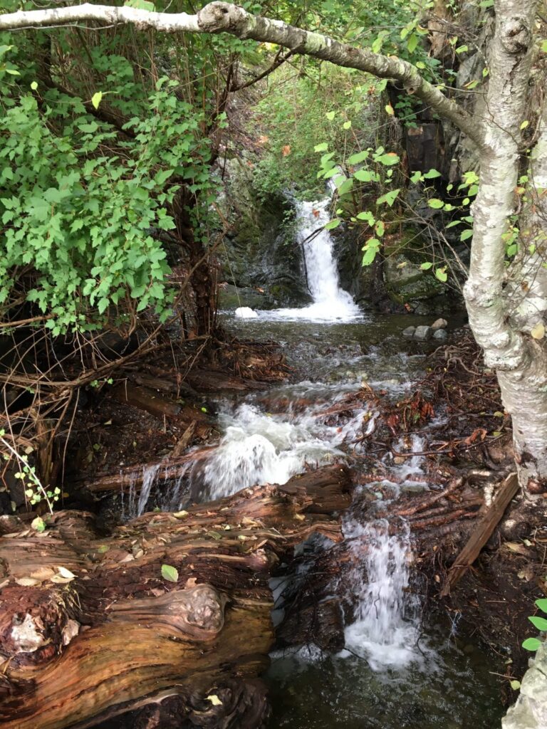The creek at Apodaca Park