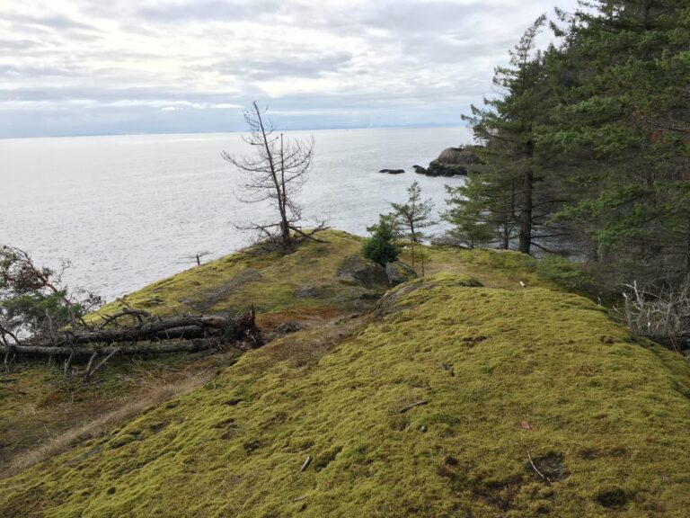 Mossy bluffs on the way to Apodaca Park
