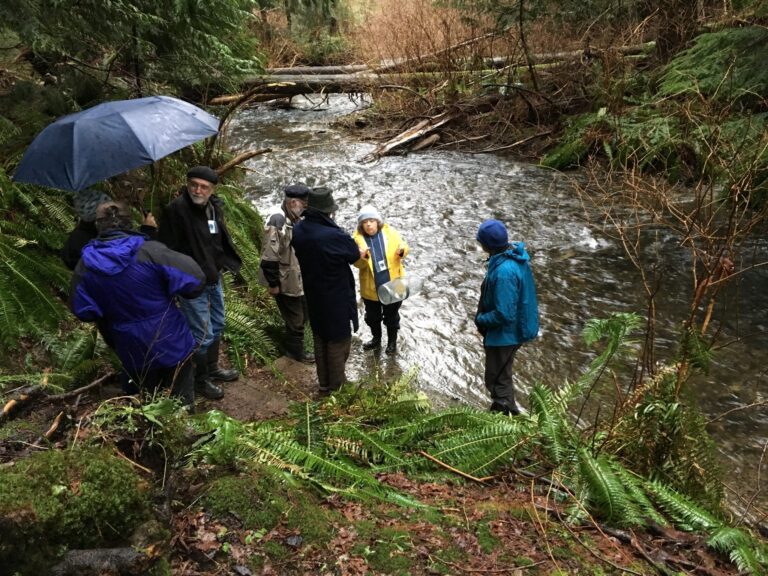 Learning about streamkeeping activities in Terminal Creek, near the Salmon Hatchery